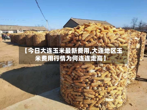 【今日大连玉米最新费用,大连地区玉米费用行情为何连连走高】