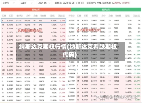 纳斯达克期权行情(纳斯达克看跌期权代码)-第3张图片