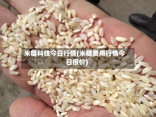 米糠科技今日行情(米糠费用行情今日报价)