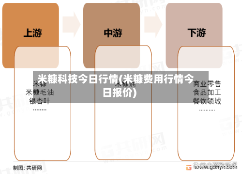 米糠科技今日行情(米糠费用行情今日报价)-第2张图片