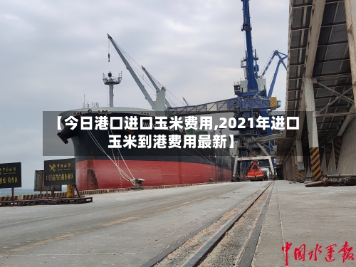 【今日港口进口玉米费用,2021年进口玉米到港费用最新】