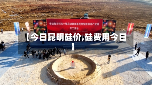 【今日昆明硅价,硅费用今日】-第3张图片