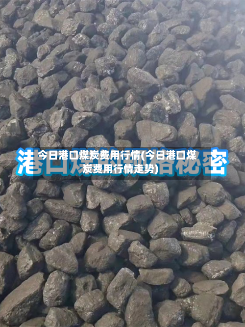 今日港口煤炭费用行情(今日港口煤炭费用行情走势)