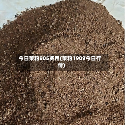 今日菜粕905费用(菜粕1909今日行情)-第2张图片