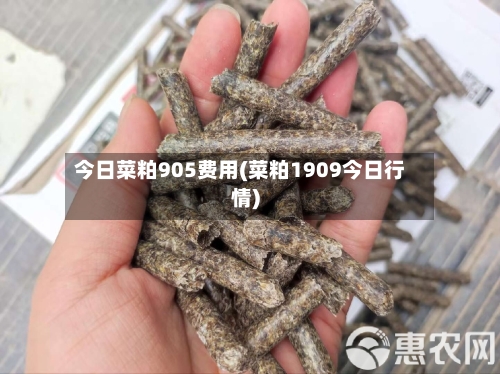 今日菜粕905费用(菜粕1909今日行情)