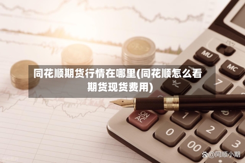 同花顺期货行情在哪里(同花顺怎么看期货现货费用)-第2张图片