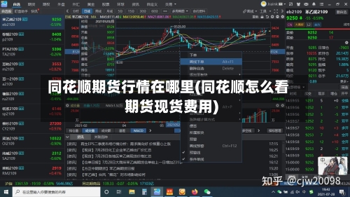 同花顺期货行情在哪里(同花顺怎么看期货现货费用)