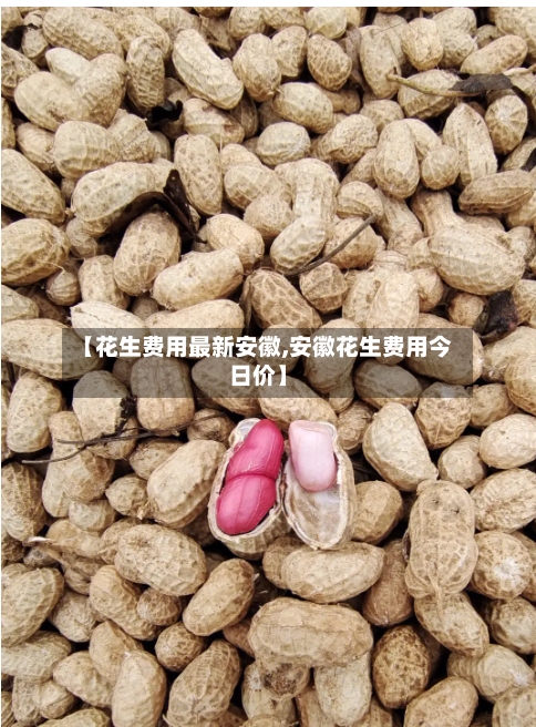【花生费用最新安徽,安徽花生费用今日价】-第3张图片