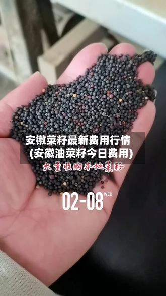 安徽菜籽最新费用行情(安徽油菜籽今日费用)
