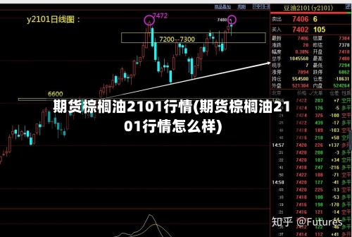 期货棕榈油2101行情(期货棕榈油2101行情怎么样)