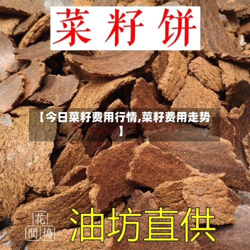 【今日菜籽费用行情,菜籽费用走势】