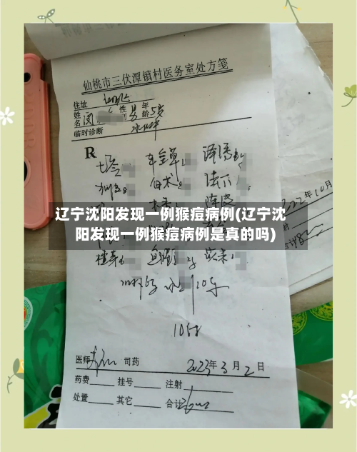 辽宁沈阳发现一例猴痘病例(辽宁沈阳发现一例猴痘病例是真的吗)-第3张图片