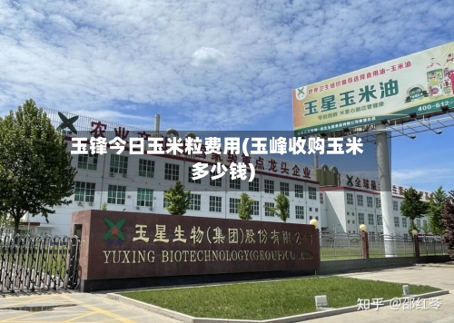玉锋今日玉米粒费用(玉峰收购玉米多少钱)-第2张图片