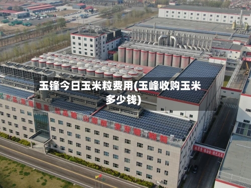 玉锋今日玉米粒费用(玉峰收购玉米多少钱)