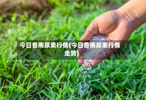 今日鲁南尿素行情(今日鲁南尿素行情走势)-第2张图片