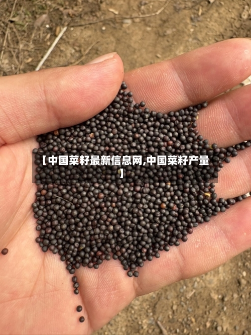 【中国菜籽最新信息网,中国菜籽产量】