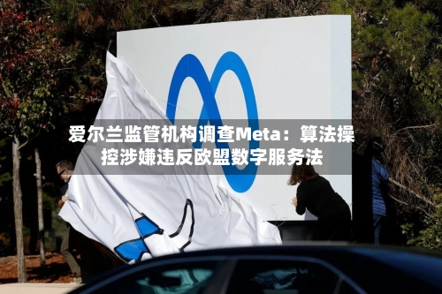爱尔兰监管机构调查Meta：算法操控涉嫌违反欧盟数字服务法-第2张图片