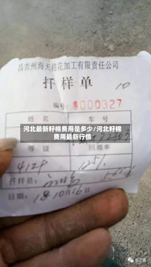 河北最新籽棉费用是多少/河北籽棉费用最新行情-第2张图片