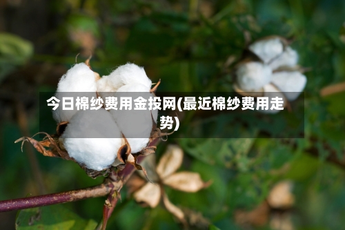 今日棉纱费用金投网(最近棉纱费用走势)-第3张图片