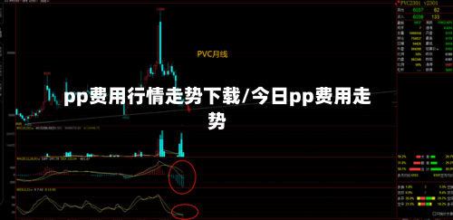 pp费用行情走势下载/今日pp费用走势-第2张图片