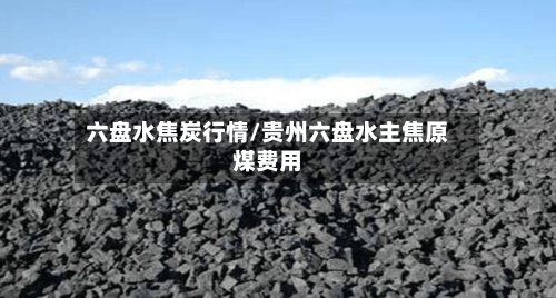 六盘水焦炭行情/贵州六盘水主焦原煤费用