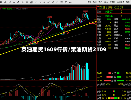 菜油期货1609行情/菜油期货2109-第2张图片