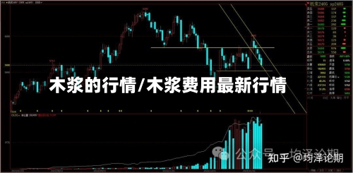 木浆的行情/木浆费用最新行情