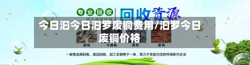 今日汩今日汩罗废铜费用/汩罗今日废铜价袼-第2张图片