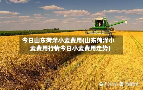 今日山东菏泽小麦费用(山东菏泽小麦费用行情今日小麦费用走势)-第2张图片