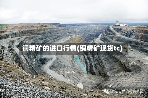 铜精矿的进口行情(铜精矿现货tc)