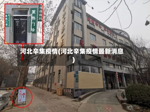 河北辛集疫情(河北辛集疫情最新消息)-第2张图片