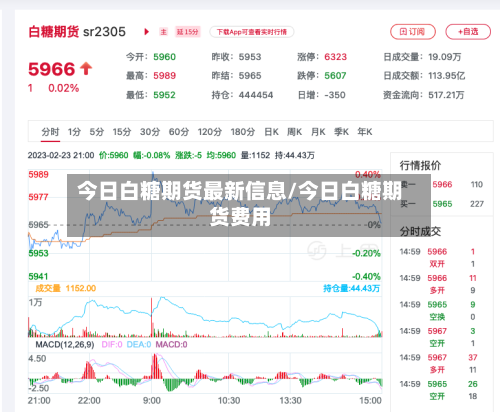 今日白糖期货最新信息/今日白糖期货费用-第2张图片