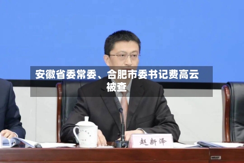 安徽省委常委、合肥市委书记费高云被查