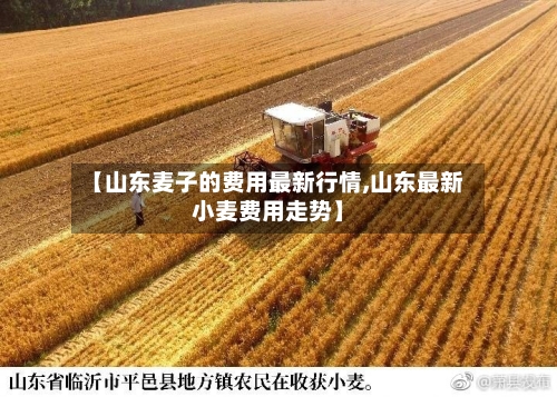 【山东麦子的费用最新行情,山东最新小麦费用走势】