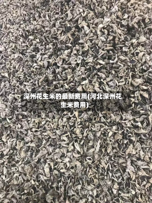 深州花生米的最新费用(河北深州花生米费用)-第2张图片