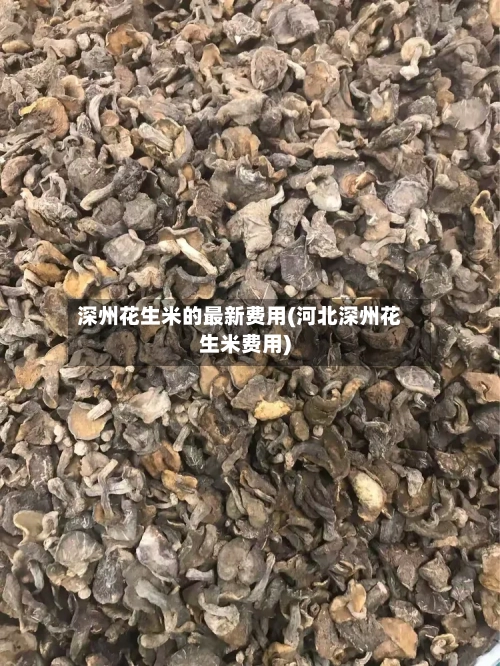 深州花生米的最新费用(河北深州花生米费用)