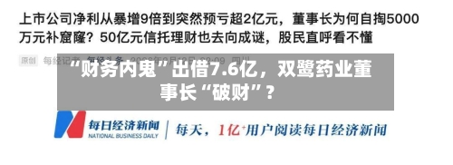 “财务内鬼”出借7.6亿，双鹭药业董事长“破财”？-第2张图片