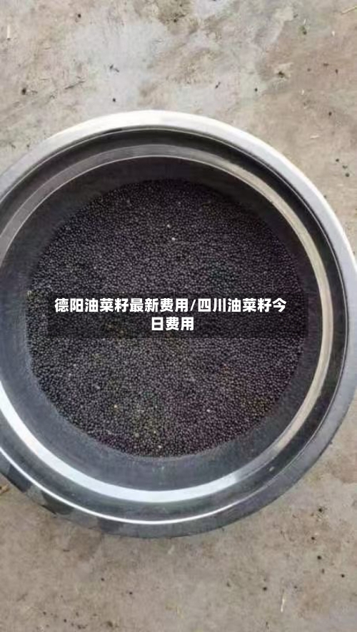 德阳油菜籽最新费用/四川油菜籽今日费用