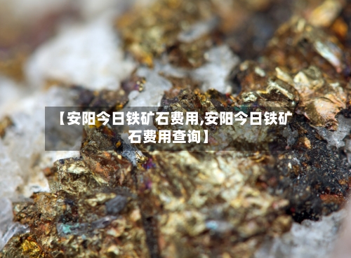 【安阳今日铁矿石费用,安阳今日铁矿石费用查询】-第3张图片