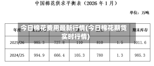 今日棉花费用最新行情(今日棉花期货实时行情)