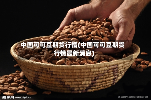 中国可可豆期货行情(中国可可豆期货行情最新消息)-第2张图片