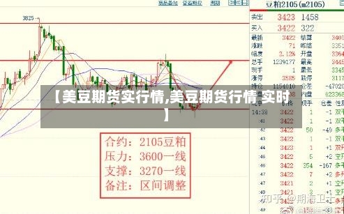 【美豆期货实行情,美豆期货行情 实时】