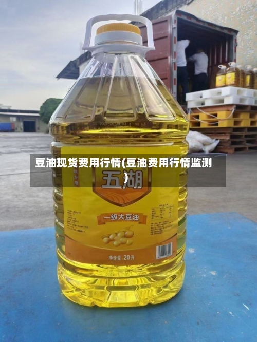 豆油现货费用行情(豆油费用行情监测)