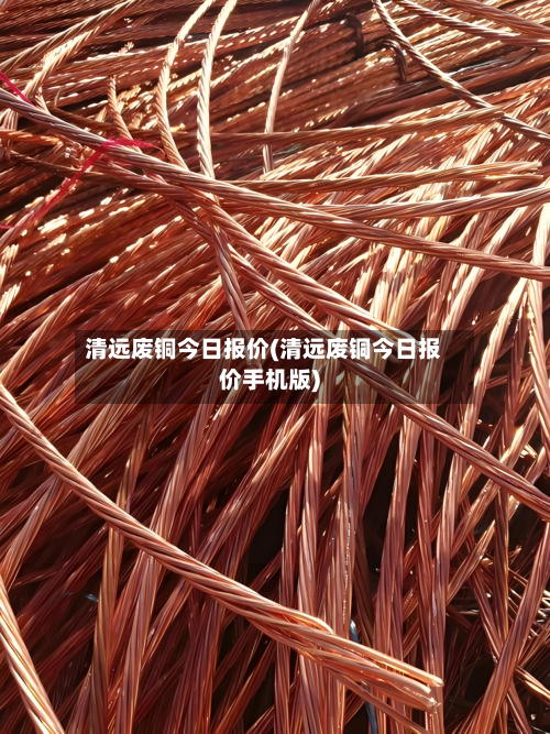 清远废铜今日报价(清远废铜今日报价手机版)-第2张图片