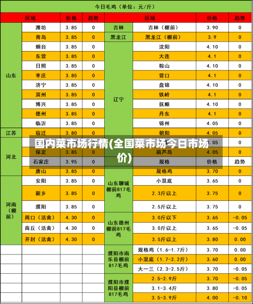 国内菜市场行情(全国菜市场今日市场价)