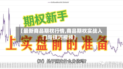 【最新商品期权行情,商品期权实战入门与技巧视频】