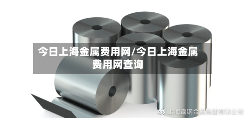 今日上海金属费用网/今日上海金属费用网查询-第2张图片