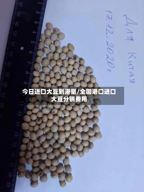 今日进口大豆到港量/全国港口进口大豆分销费用-第3张图片