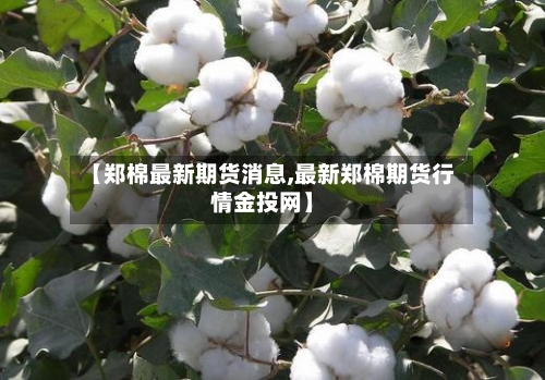【郑棉最新期货消息,最新郑棉期货行情金投网】-第3张图片
