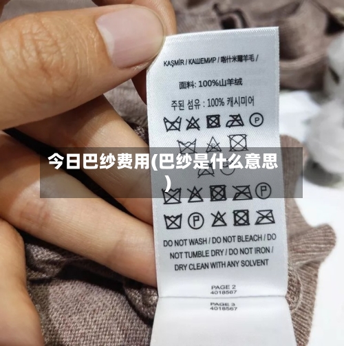 今日巴纱费用(巴纱是什么意思)